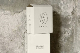 ianai boxes 