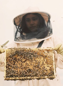 House of honey photo