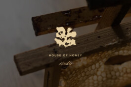 House of honey cover