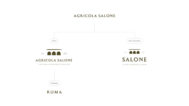 brand architecture