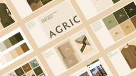 brand book manual preview