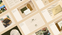 brand book manual preview