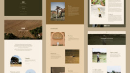 web desktop mockups